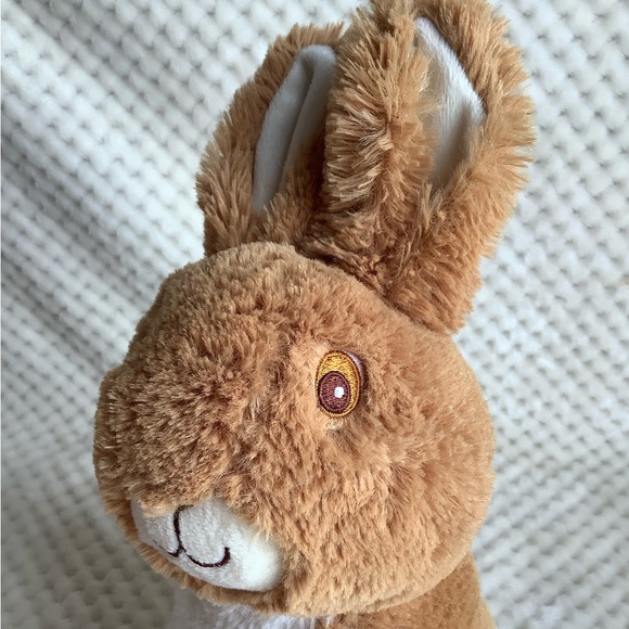 Peter Rabbit Beatrix Potter Plush Bunny Rabbit Stuffed Animal Embroidered Eyes - Picture 10 of 13